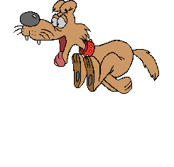 JDC Hound